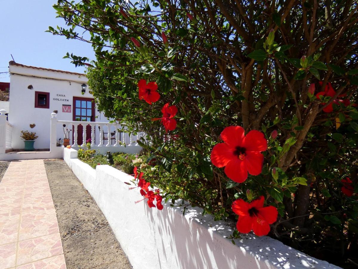 Gasthaus Casa Goliath Isora Exterior foto